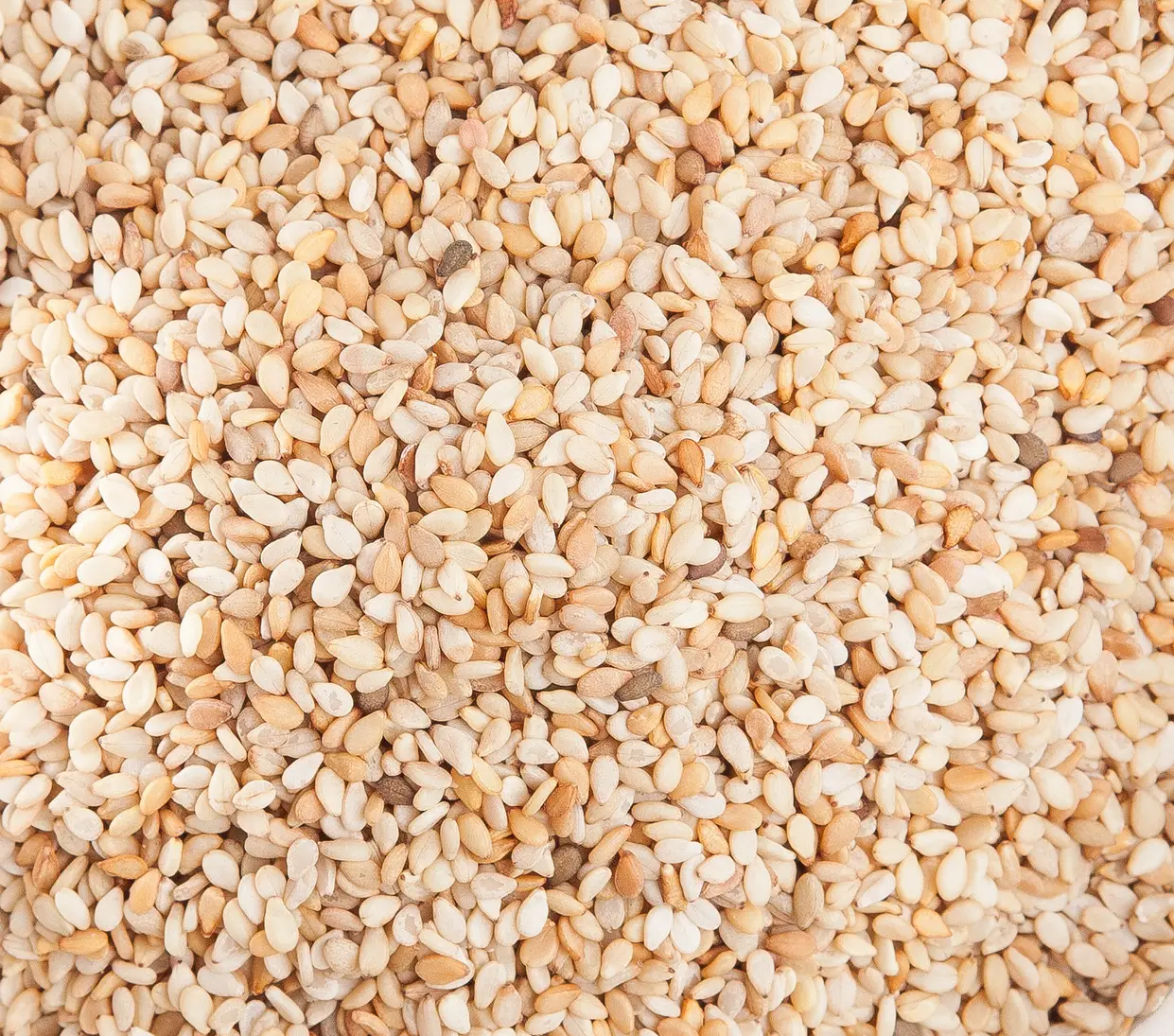 Sesame
